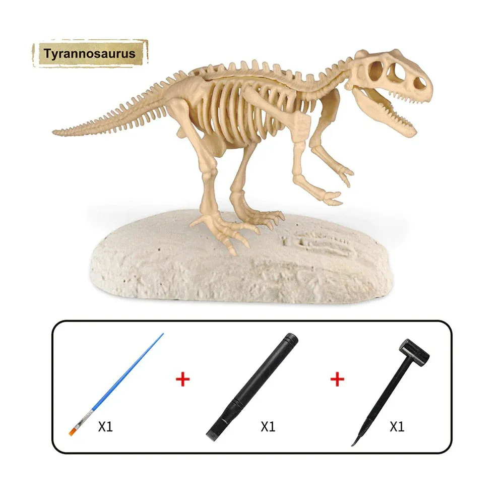 Dino Fossielen Graafset™ - Ontdek en Opgraven van Prehistorische Schatten - Educatieve Graafkit - Afbeelding 5
