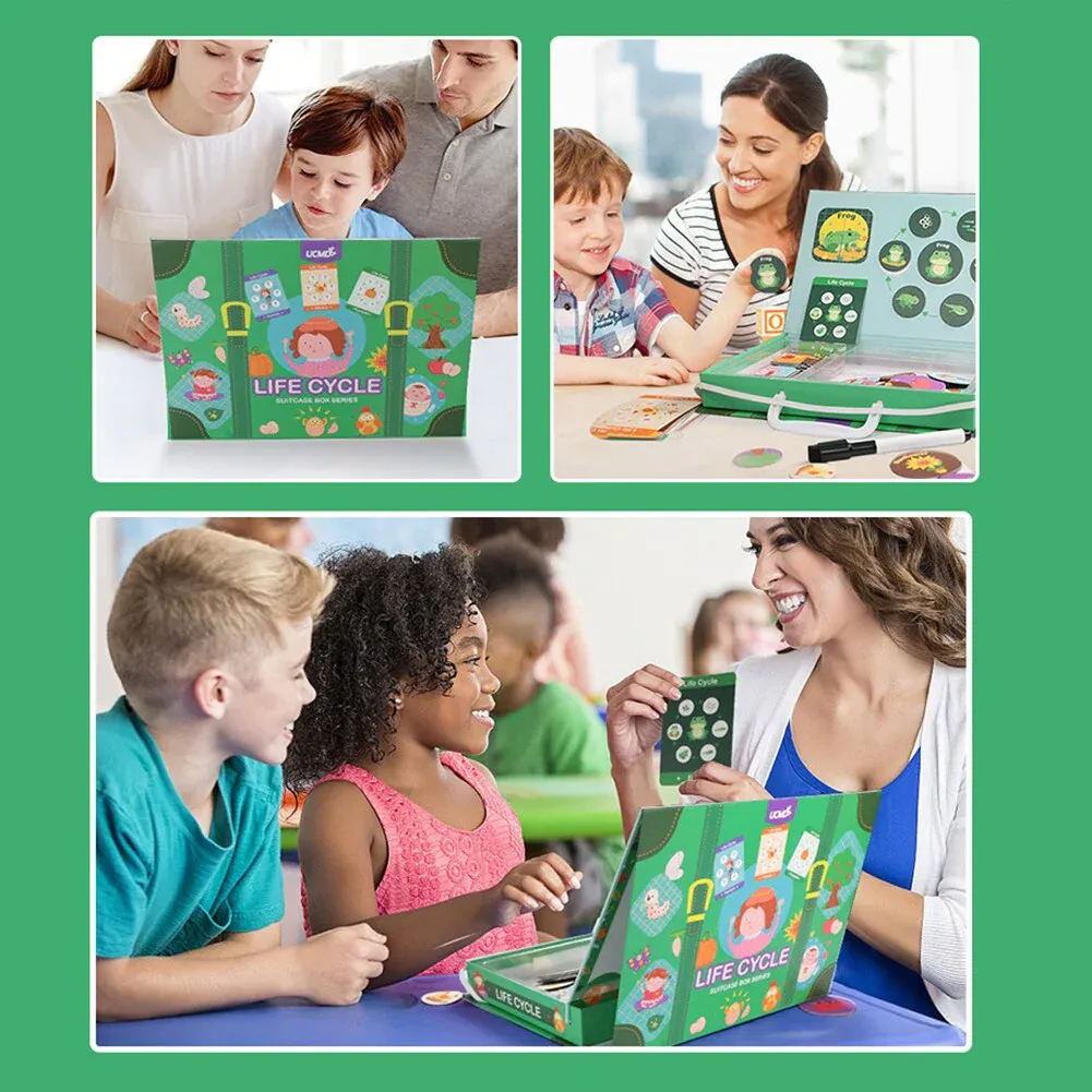 Levenscyclus Spel™ - Ontdek Levenscycli - Educatieve Puzzelbox - Afbeelding 2