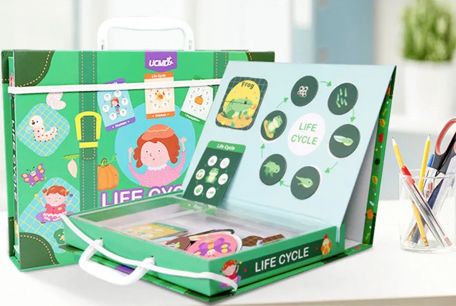 Levenscyclus Spel™ - Ontdek Levenscycli - Educatieve Puzzelbox