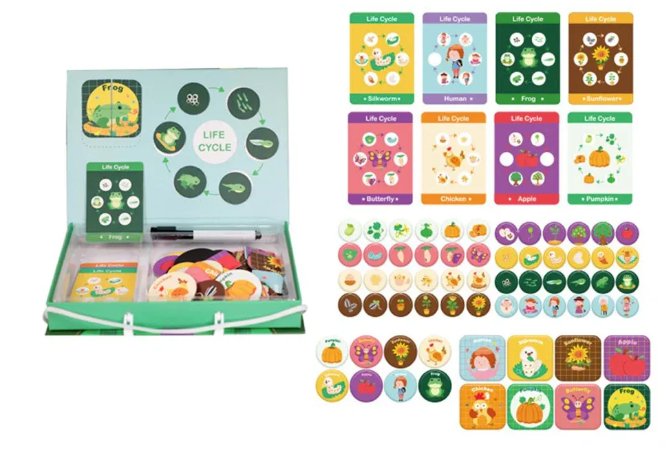 Levenscyclus Spel™ - Ontdek Levenscycli - Educatieve Puzzelbox - Afbeelding 3